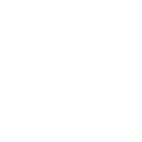 Icon 02